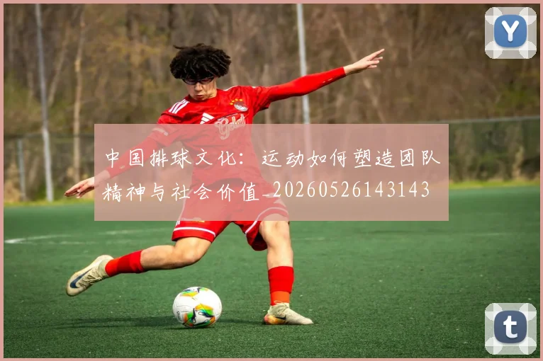 中国排球文化:运动如何塑造团队精神与社会价值_20260526143143