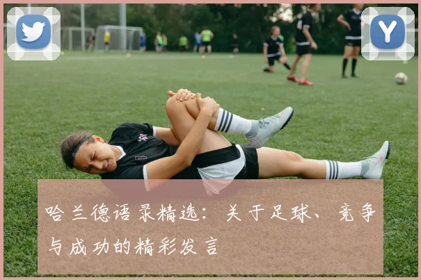 哈兰德语录精选：关于足球、竞争与成功的精彩发言